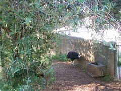 183 D21 SANARY SUR MER 1_000050
